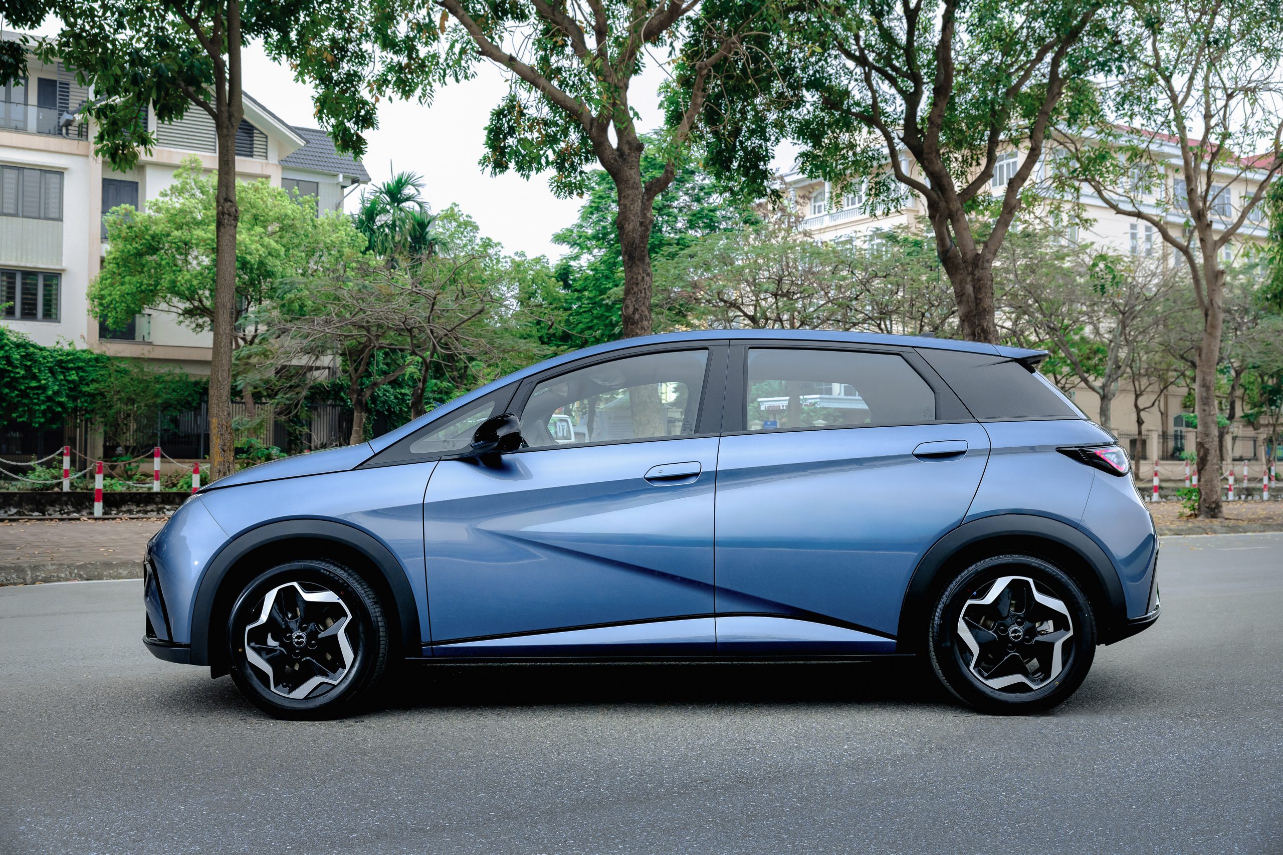 BYD-Dolphin
