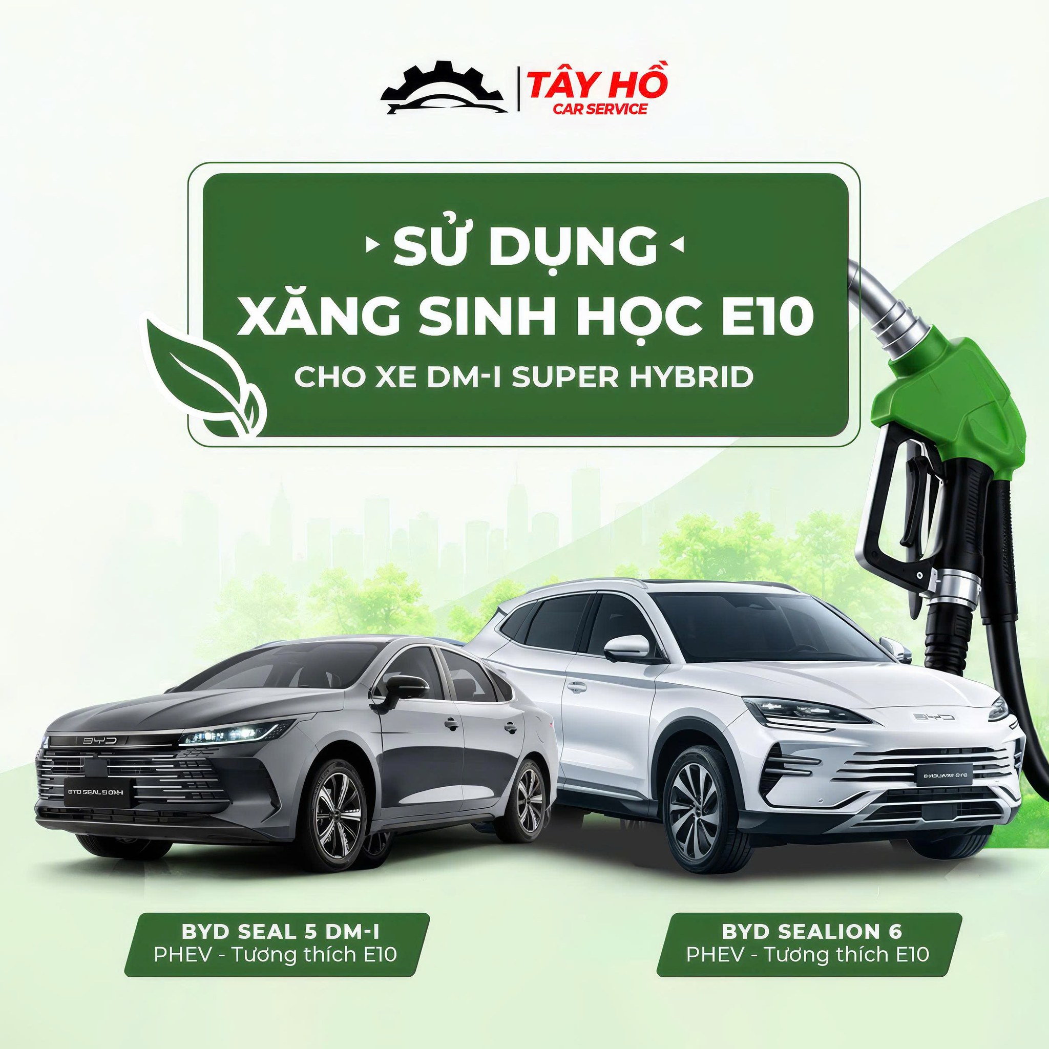 xăng E10